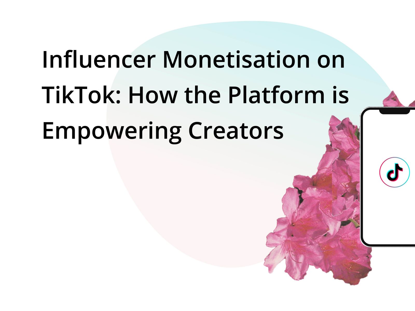 tiktok influencer marketing